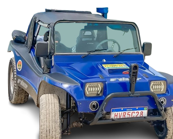 Buggy MarleyTur